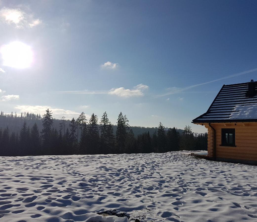 Koniakowo - Dom Albino Villa